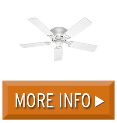 Hunter 53069 Low Profile III 52Inch Ceiling Fan with Five White Blades, White Criteria